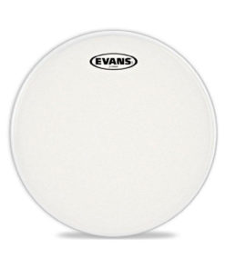 Evans E10J1 Etched 10 Zoll