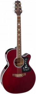 TAKAMINE WESTERN-GITARRE GN75 CEWR-NEX/C B-Ware