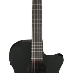 IBANEZ AEG 621 BOT Acoustic 6 Strings Black Out