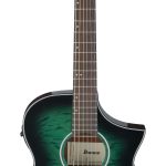 IBANEZ AEWC16QA-TEH